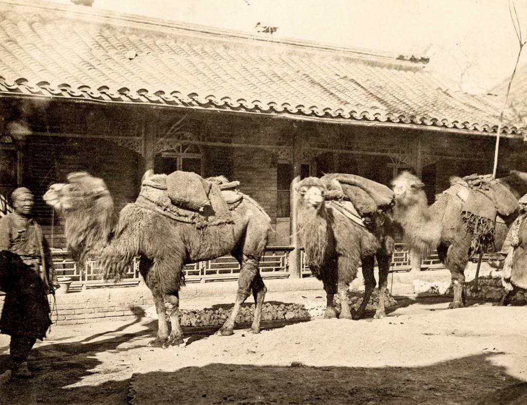 Những bức ảnh quý giá hiếm hoi về triều đại cuối cùng của Trung Quốc thế kỷ 19. 15