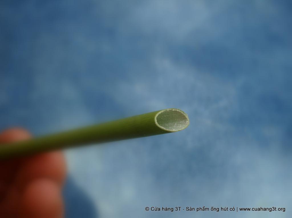 lost bird ong hut co giai phap bao ve moi truong 10