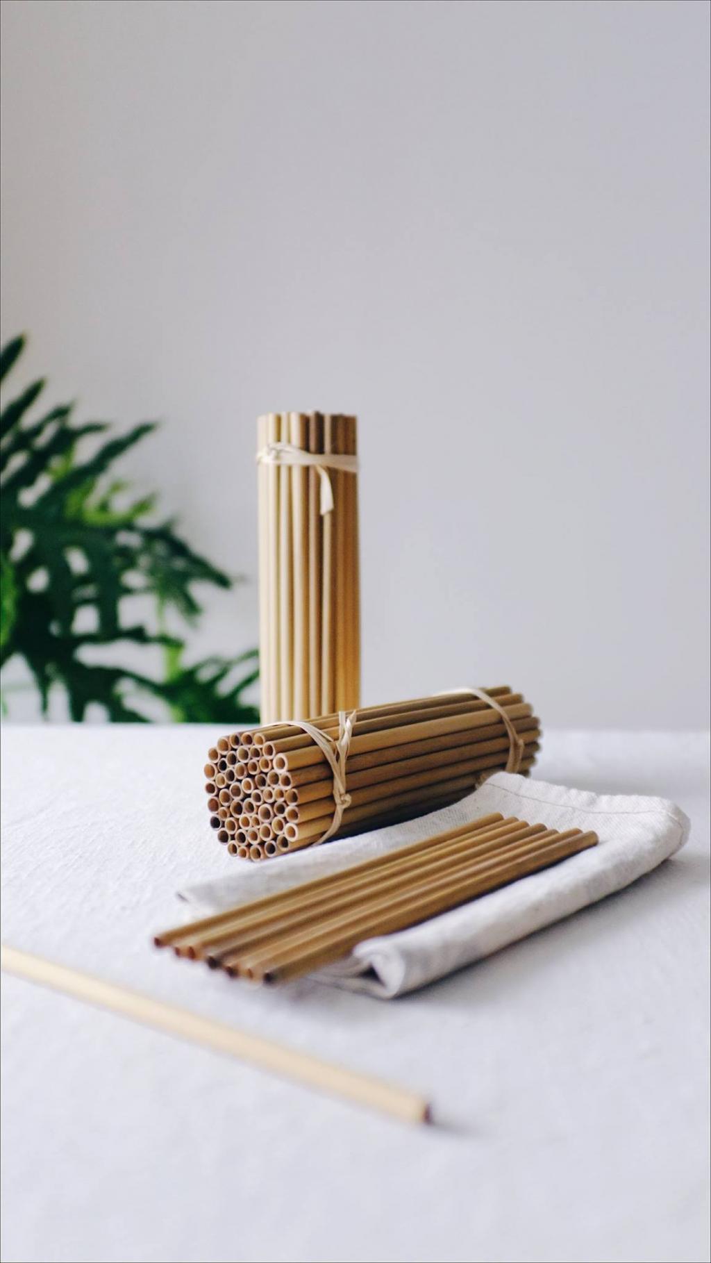 lost bird ong hut co giai phap bao ve moi truong 15