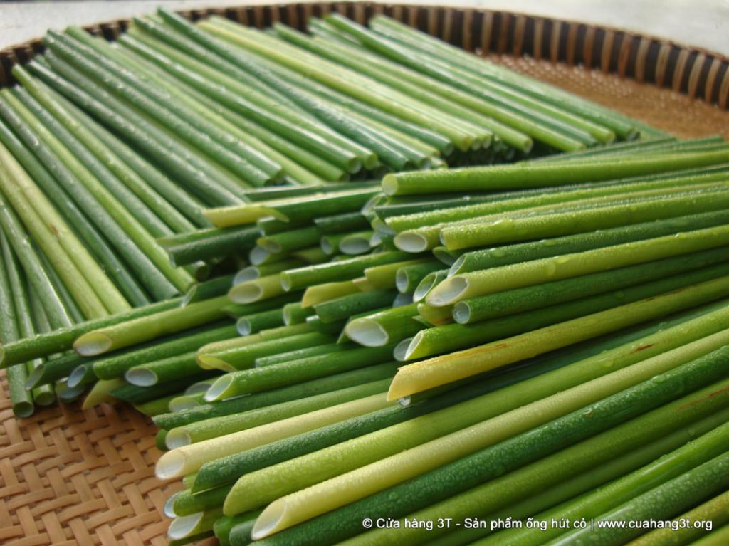 lost bird ong hut co giai phap bao ve moi truong 6