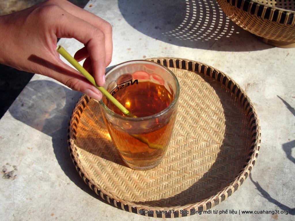 lost bird ong hut co giai phap bao ve moi truong 8