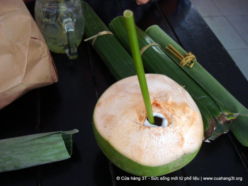 lost bird ong hut co giai phap bao ve moi truong 9