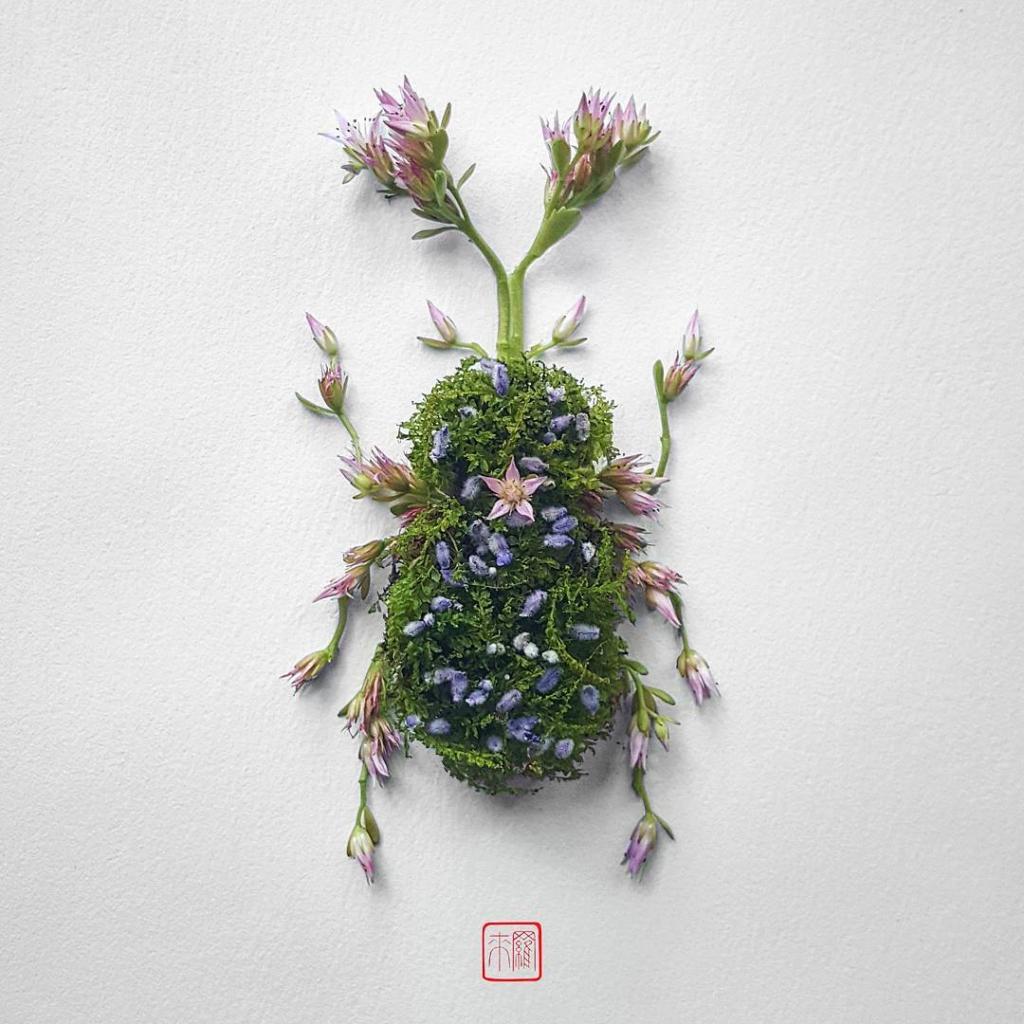 natura 2