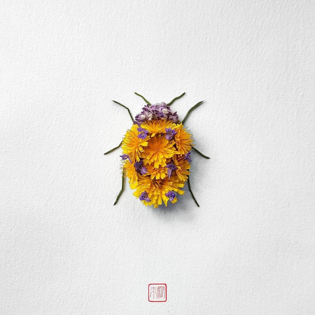 natura 3