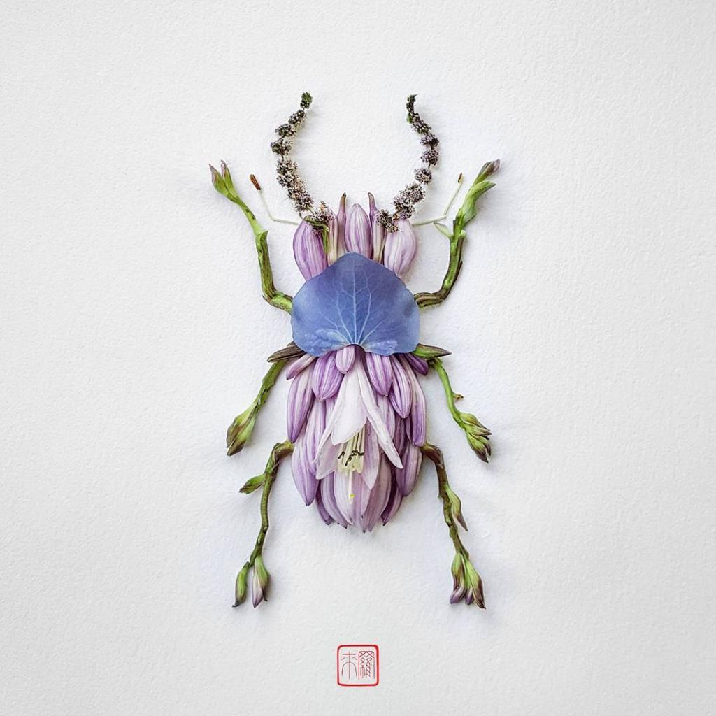 natura 7
