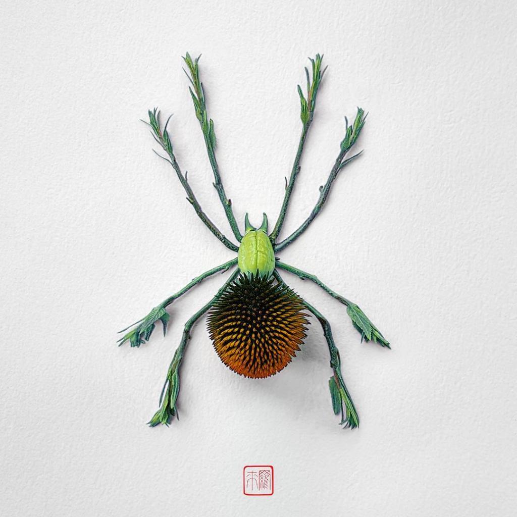 natura 8