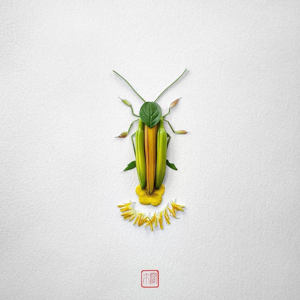 natura 9