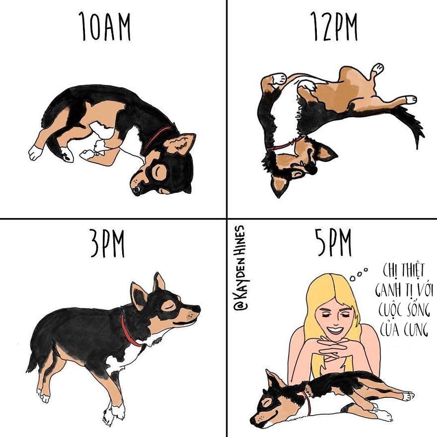 fun comic 5