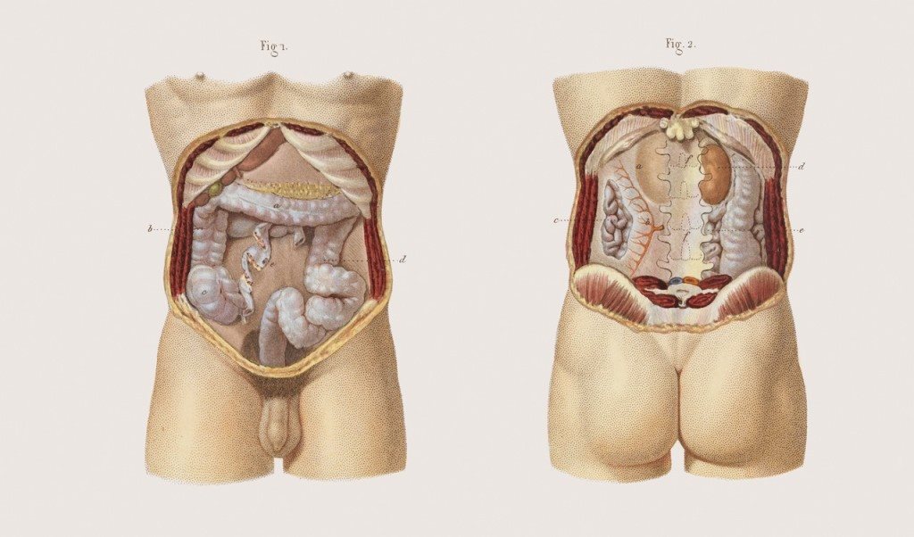 Bộ sưu tập tranh minh họa sống động về giai đoạn y học phẫu thuật thế kỷ XV - XIX Bộ sưu tập tranh minh họa sống động về giai đoạn y học phẫu thuật thế kỷ XV - XIX