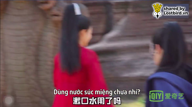chieu dieu lostbird vn 1