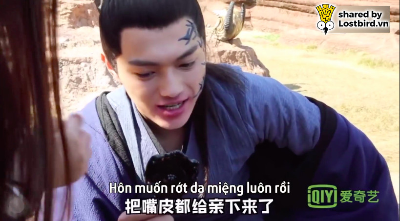chieu dieu lostbird vn 4