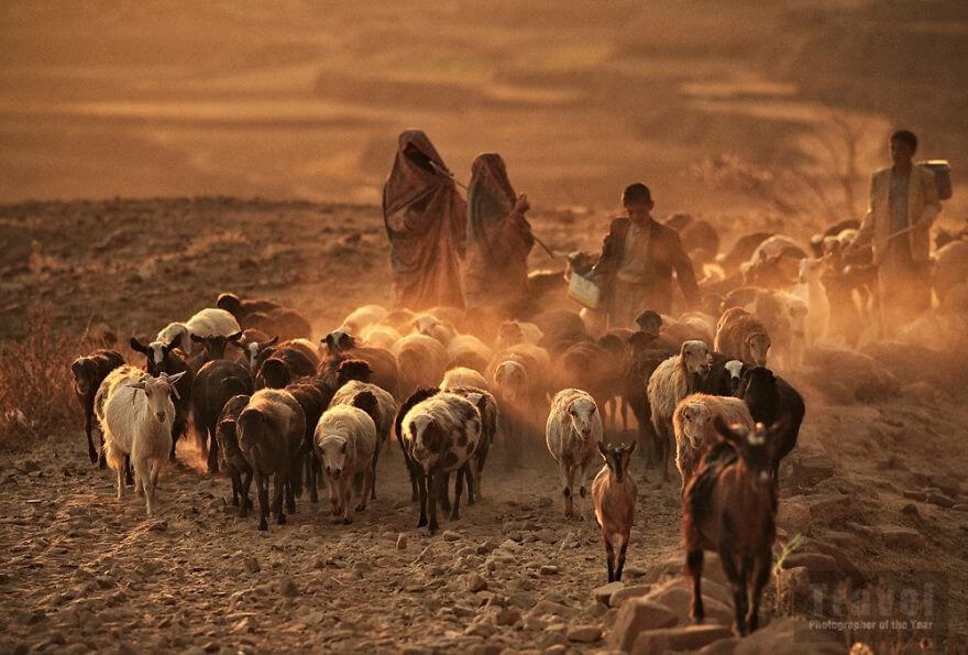 the best pictures from the 2018 travel photographer of the year awards 13