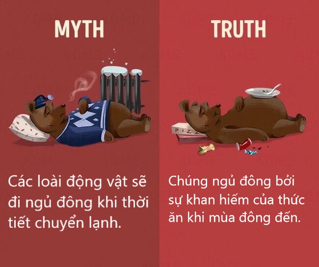 Sửa chữa những định kiến ai cũng tưởng vậy mà không phải vậy (P1) Sửa chữa những định kiến ai cũng tưởng vậy mà không phải vậy (P1)