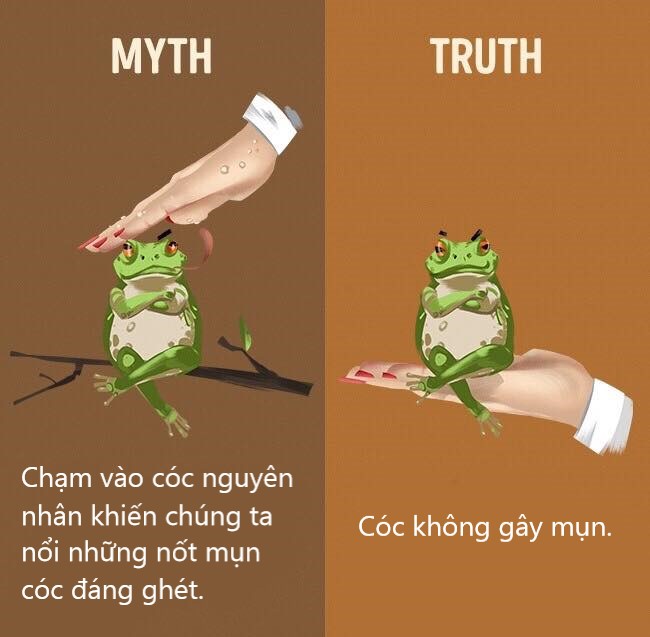 Sửa chữa những định kiến ai cũng tưởng vậy mà không phải vậy (P1) Sửa chữa những định kiến ai cũng tưởng vậy mà không phải vậy (P1)