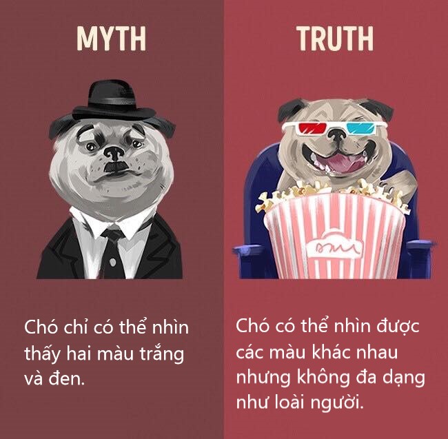 Sửa chữa những định kiến ai cũng tưởng vậy mà không phải vậy (P1) Sửa chữa những định kiến ai cũng tưởng vậy mà không phải vậy (P1)