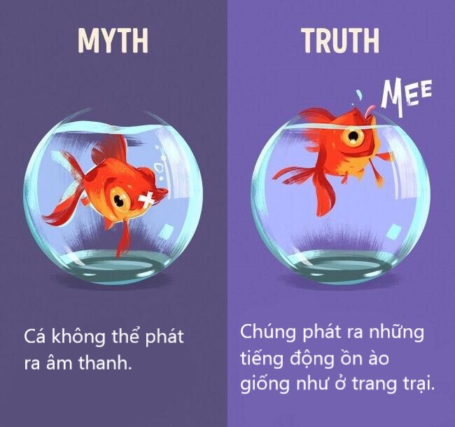 Sửa chữa những định kiến ai cũng tưởng vậy mà không phải vậy (P1) Sửa chữa những định kiến ai cũng tưởng vậy mà không phải vậy (P1)