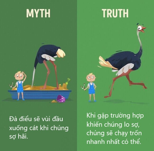 Sửa chữa những định kiến ai cũng tưởng vậy mà không phải vậy (P1) Sửa chữa những định kiến ai cũng tưởng vậy mà không phải vậy (P1)