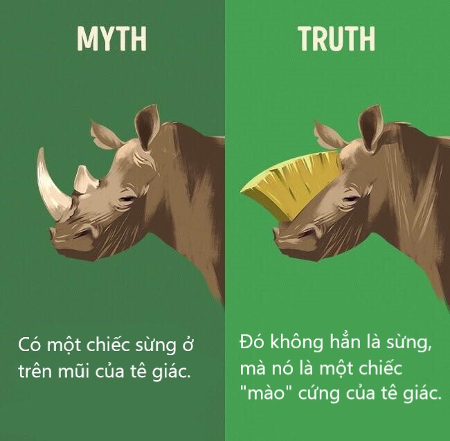 Sửa chữa những định kiến ai cũng tưởng vậy mà không phải vậy (P1) Sửa chữa những định kiến ai cũng tưởng vậy mà không phải vậy (P1)