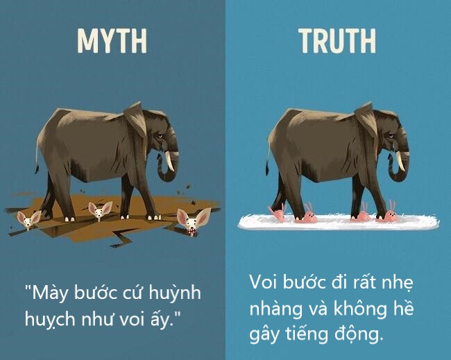 Sửa chữa những định kiến ai cũng tưởng vậy mà không phải vậy (P1) Sửa chữa những định kiến ai cũng tưởng vậy mà không phải vậy (P1)