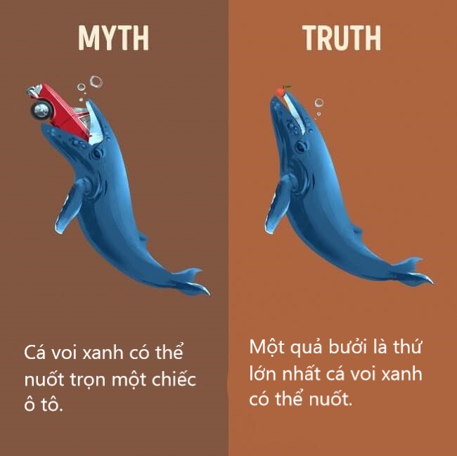 Sửa chữa những định kiến ai cũng tưởng vậy mà không phải vậy (P1) Sửa chữa những định kiến ai cũng tưởng vậy mà không phải vậy (P1)