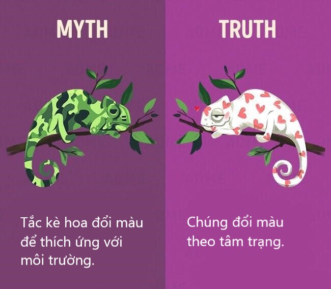 Sửa chữa những định kiến ai cũng tưởng vậy mà không phải vậy (P1) Sửa chữa những định kiến ai cũng tưởng vậy mà không phải vậy (P1)