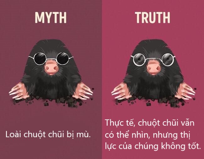 Sửa chữa những định kiến ai cũng tưởng vậy mà không phải vậy (P1) Sửa chữa những định kiến ai cũng tưởng vậy mà không phải vậy (P1)