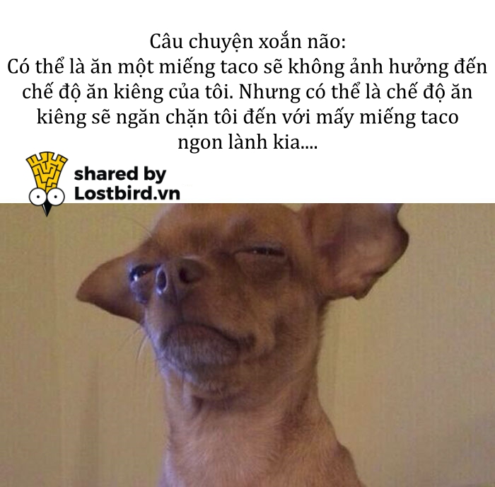 Kho ảnh bất tận ngập tràn tiếng cười về đồ ăn Kho ảnh bất tận ngập tràn tiếng cười về đồ ăn