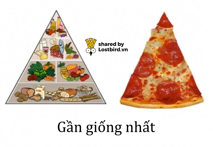 Kho ảnh bất tận ngập tràn tiếng cười về đồ ăn Kho ảnh bất tận ngập tràn tiếng cười về đồ ăn