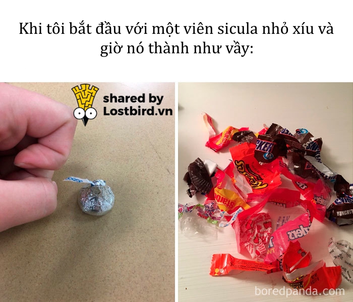 Kho ảnh bất tận ngập tràn tiếng cười về đồ ăn Kho ảnh bất tận ngập tràn tiếng cười về đồ ăn