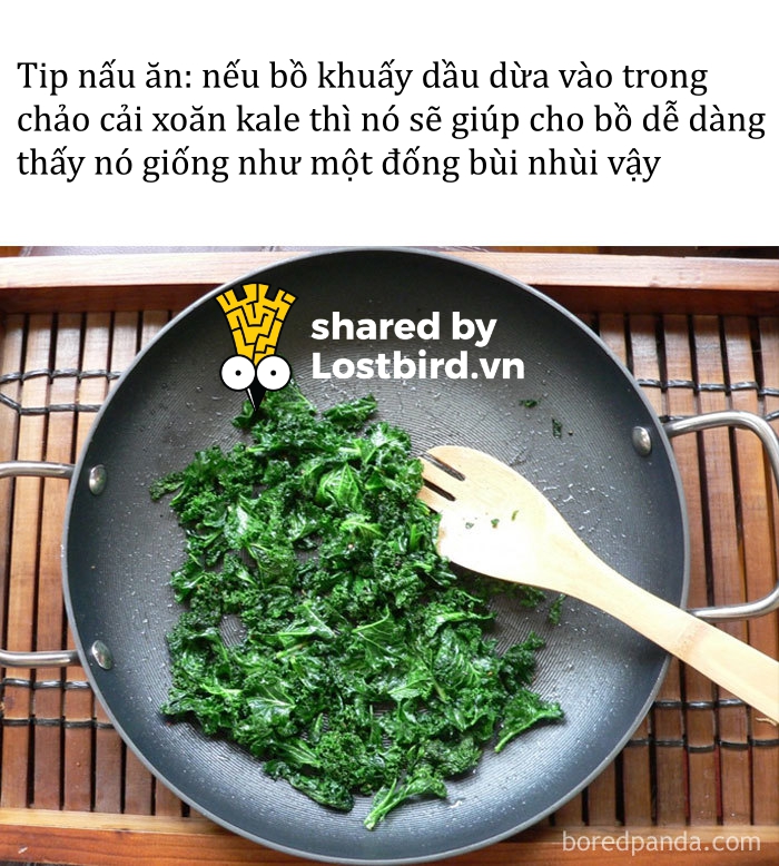 Kho ảnh bất tận ngập tràn tiếng cười về đồ ăn Kho ảnh bất tận ngập tràn tiếng cười về đồ ăn