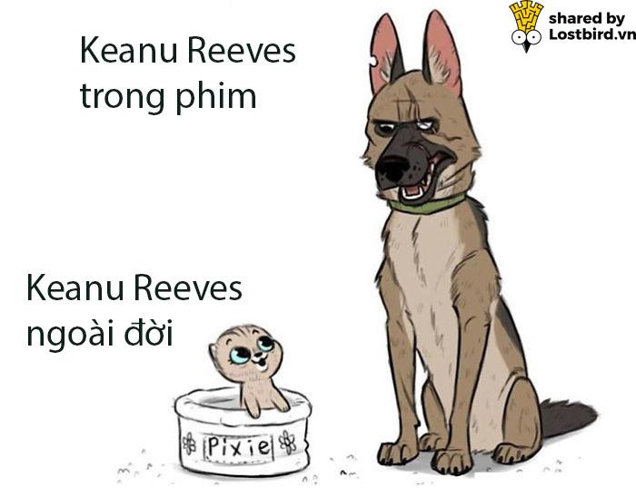 Tuyển tập meme về chàng diễn viên ai cũng yêu quý - Keanu Reeves Tuyển tập meme về chàng diễn viên ai cũng yêu quý - Keanu Reeves