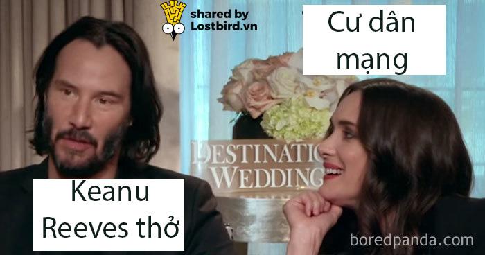 Tuyển tập meme về chàng diễn viên ai cũng yêu quý - Keanu Reeves Tuyển tập meme về chàng diễn viên ai cũng yêu quý - Keanu Reeves