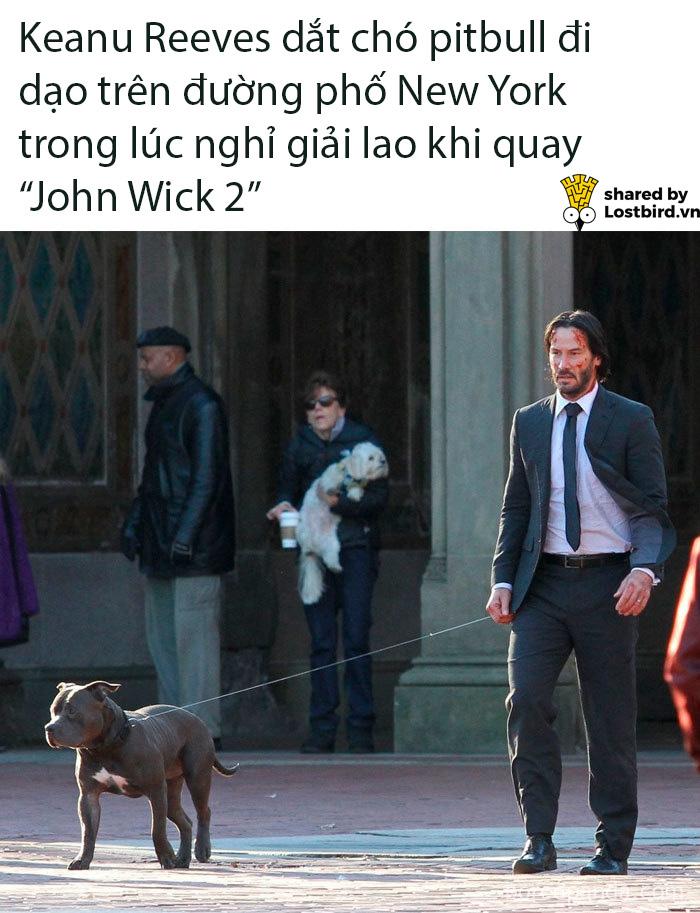 Tuyển tập meme về chàng diễn viên ai cũng yêu quý - Keanu Reeves Tuyển tập meme về chàng diễn viên ai cũng yêu quý - Keanu Reeves