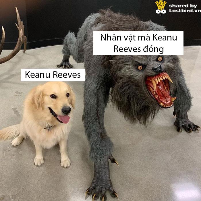 Tuyển tập meme về chàng diễn viên ai cũng yêu quý - Keanu Reeves Tuyển tập meme về chàng diễn viên ai cũng yêu quý - Keanu Reeves