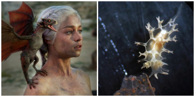 20 chuyện ngoài lề khiến Game of Thrones càng thú vị hơn 20 chuyện ngoài lề khiến Game of Thrones càng thú vị hơn