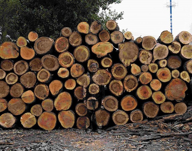 Bạn có thể tìm ra 'nghệ sĩ tàng hình' Liu Bolin trong những bức hình này? Bạn có thể tìm ra 'nghệ sĩ tàng hình' Liu Bolin trong những bức hình này?