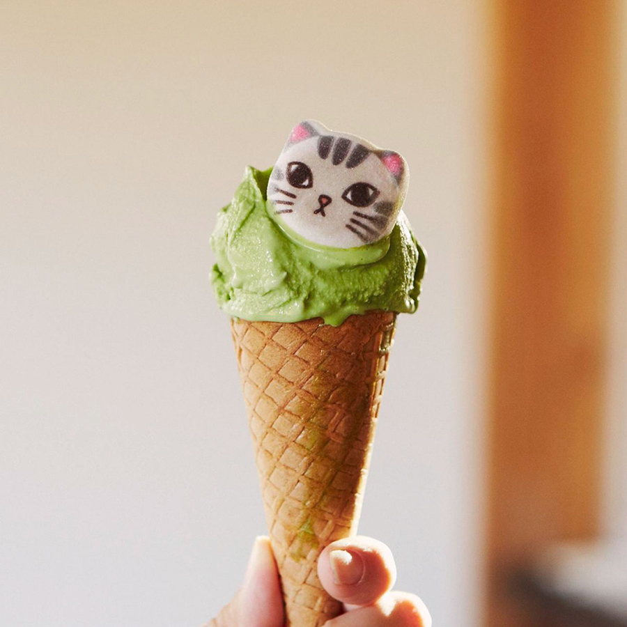 Mềm mềm, thơm thơm và 'siêu cấp' đáng yêu: chính là kẹo marshmallow mèo Mềm mềm, thơm thơm và 'siêu cấp' đáng yêu: chính là kẹo marshmallow mèo