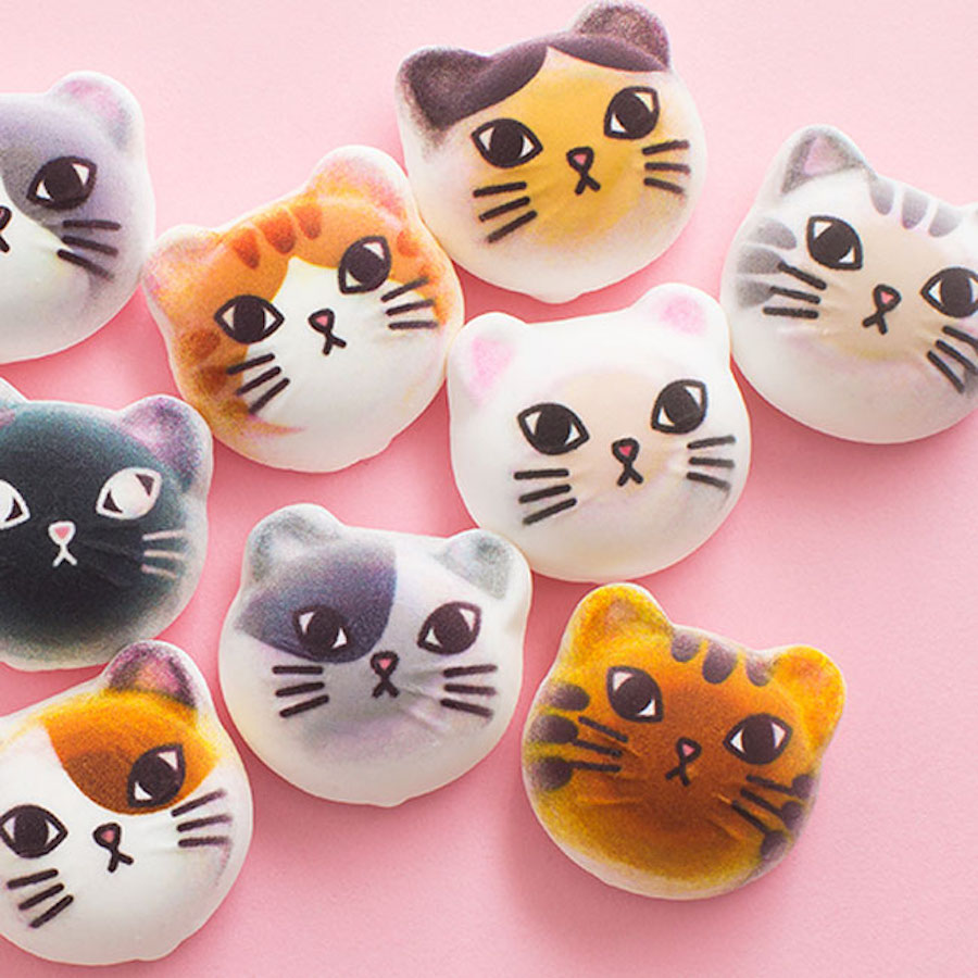 Mềm mềm, thơm thơm và 'siêu cấp' đáng yêu: chính là kẹo marshmallow mèo Mềm mềm, thơm thơm và 'siêu cấp' đáng yêu: chính là kẹo marshmallow mèo