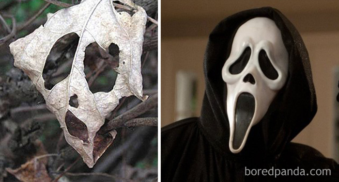 Khi đồ vật cũng 'đua đòi' cosplay nhân vật nổi tiếng Khi đồ vật cũng 'đua đòi' cosplay nhân vật nổi tiếng