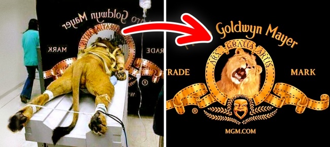 12 sự thật về những logo nổi tiếng thế giới khiến ngày của bạn thú vị hơn một chút 12 sự thật về những logo nổi tiếng thế giới khiến ngày của bạn thú vị hơn một chút