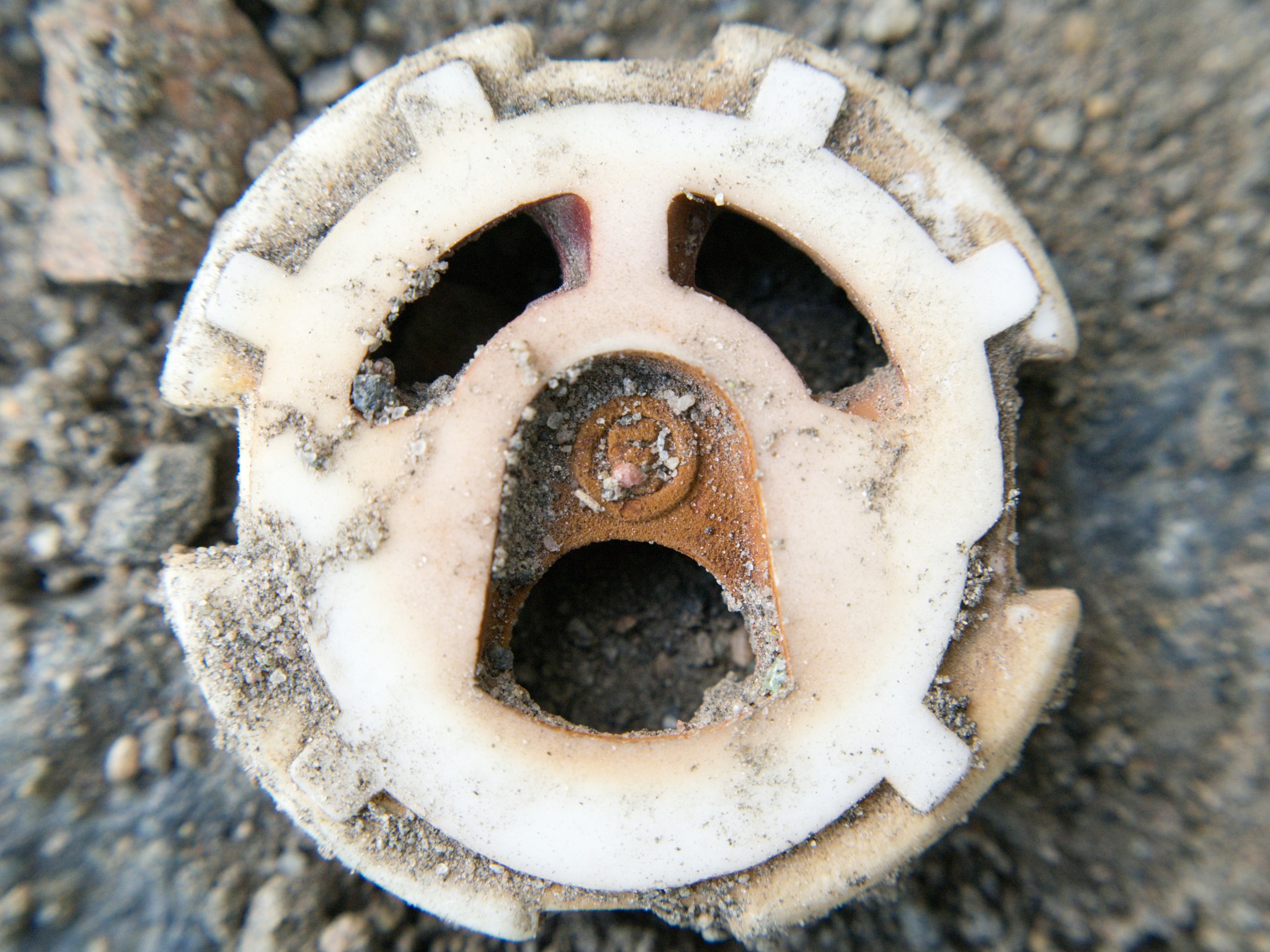 Nhìn thấy những gương mặt lấp ló, có thể bạn đang mắc hội chứng Pareidolia Nhìn thấy những gương mặt lấp ló, có thể bạn đang mắc hội chứng Pareidolia