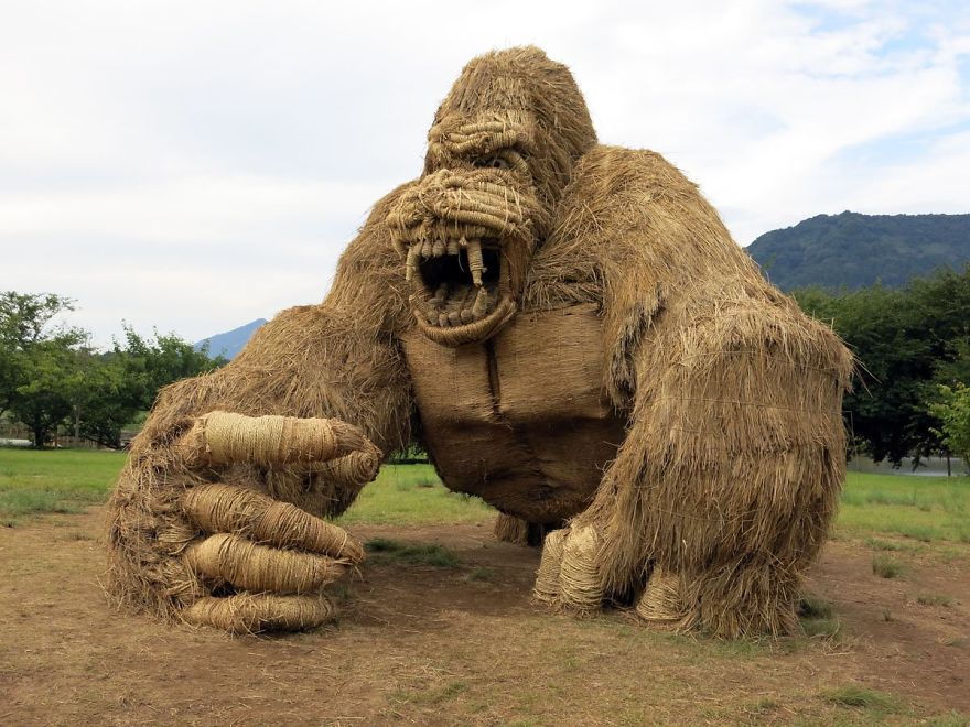 'Cuộc xâm lăng' của động vật khổng lồ sau vụ mùa 'Cuộc xâm lăng' của động vật khổng lồ sau vụ mùa