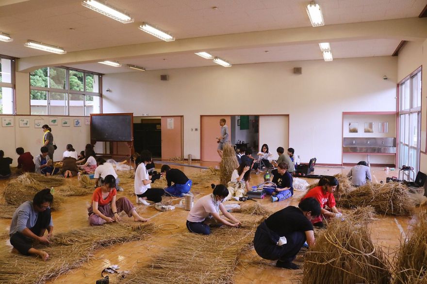 'Cuộc xâm lăng' của động vật khổng lồ sau vụ mùa 'Cuộc xâm lăng' của động vật khổng lồ sau vụ mùa