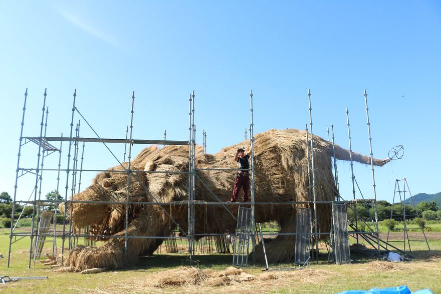 'Cuộc xâm lăng' của động vật khổng lồ sau vụ mùa 'Cuộc xâm lăng' của động vật khổng lồ sau vụ mùa