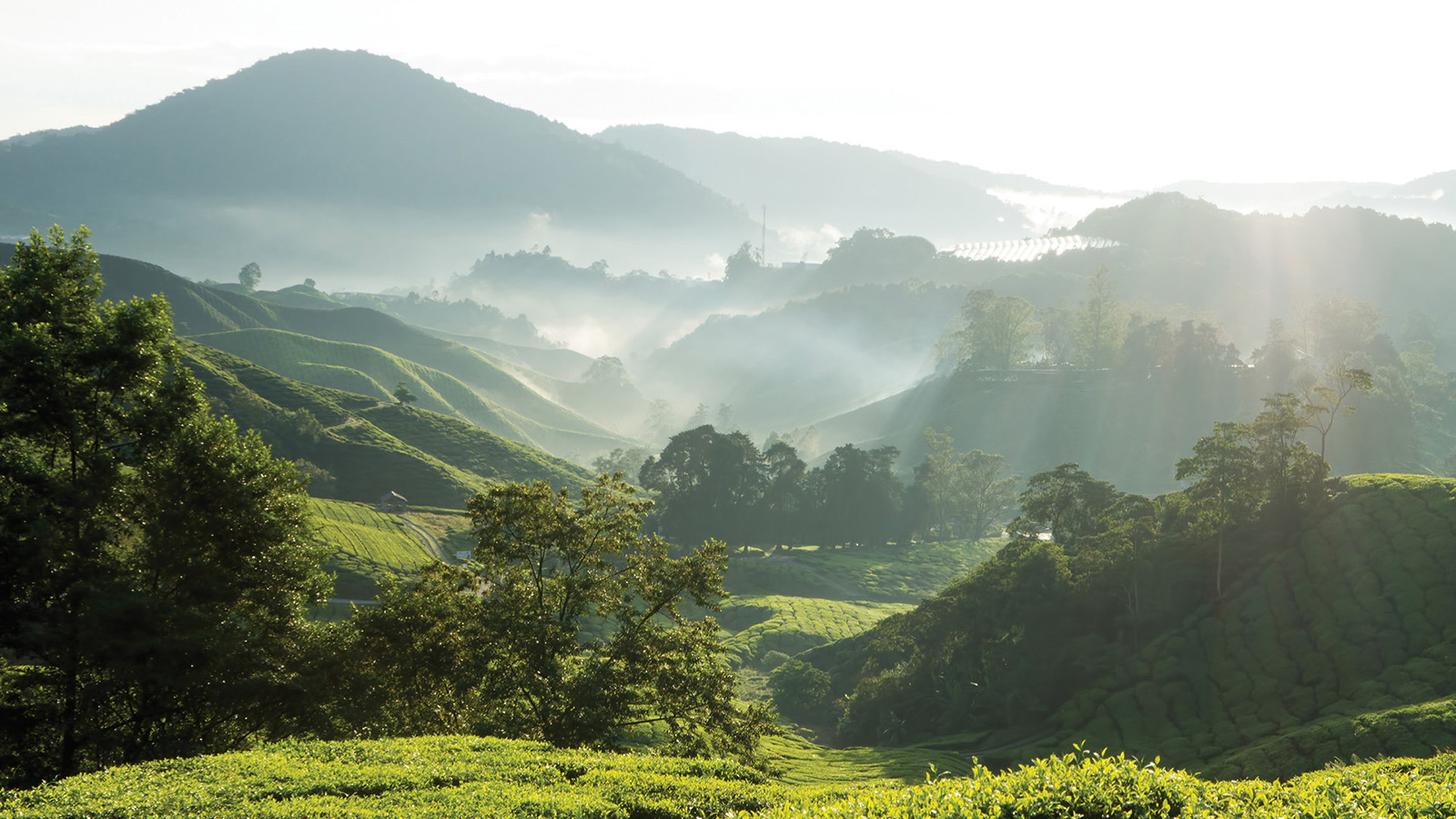 Bangkok và Chiang Mai, nếu phải chọn 1 trong 2 thì...? Bangkok và Chiang Mai, nếu phải chọn 1 trong 2 thì...?