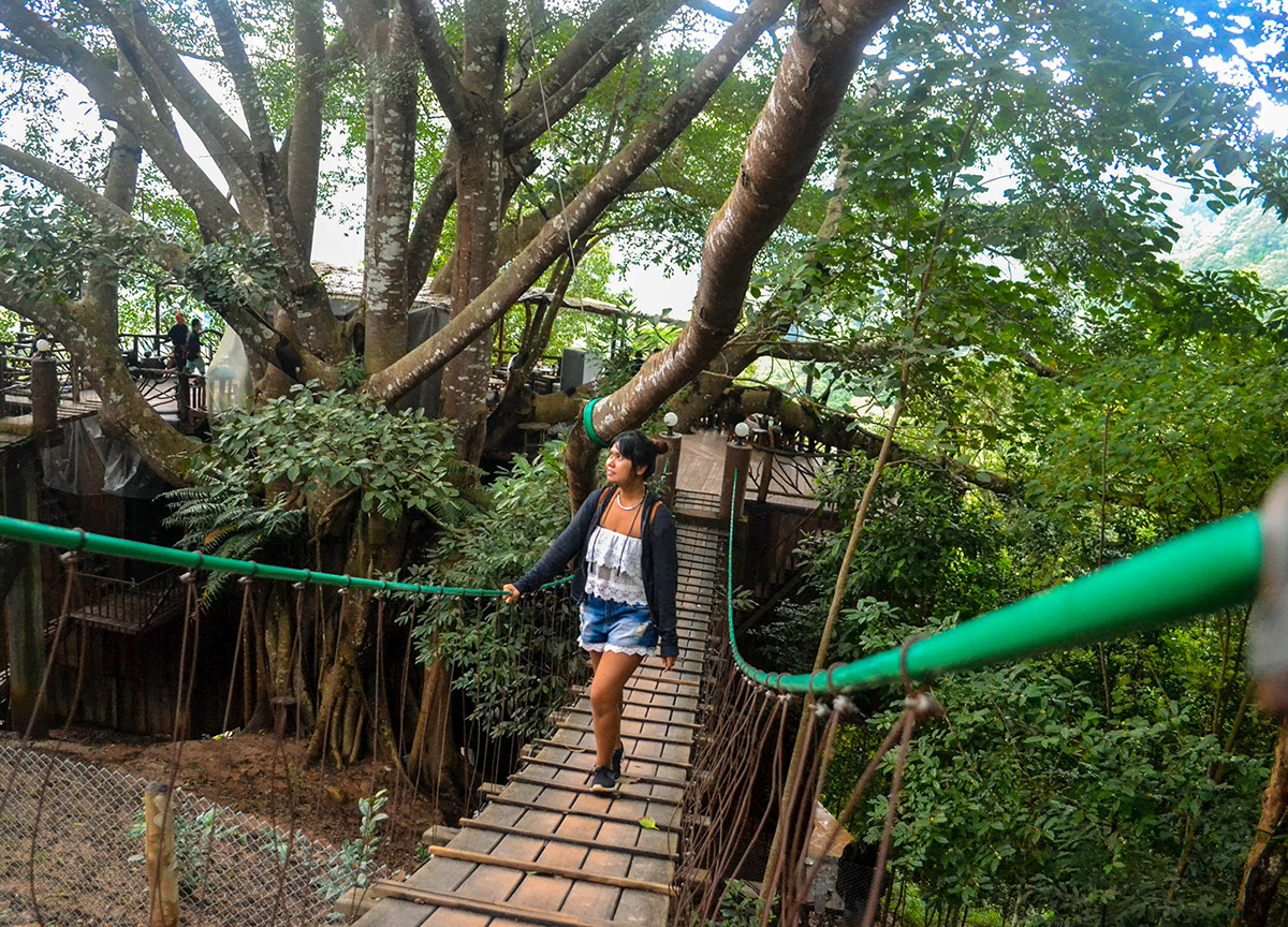 Bangkok và Chiang Mai, nếu phải chọn 1 trong 2 thì...? Bangkok và Chiang Mai, nếu phải chọn 1 trong 2 thì...?