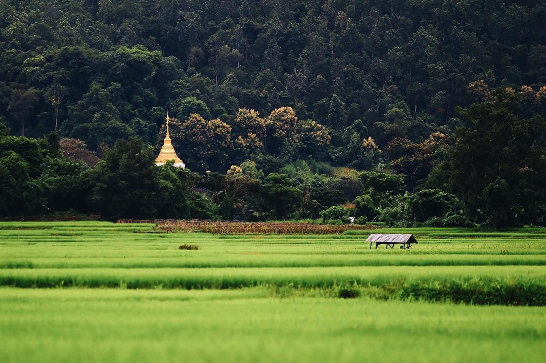 Bangkok và Chiang Mai, nếu phải chọn 1 trong 2 thì...? Bangkok và Chiang Mai, nếu phải chọn 1 trong 2 thì...?