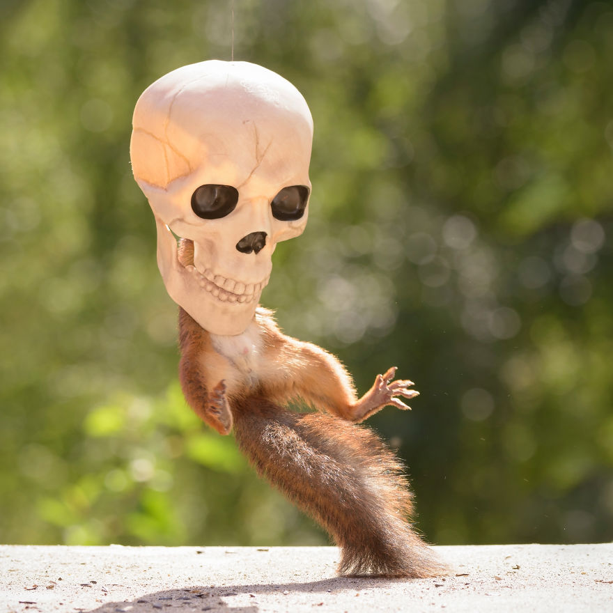 'Tình sóc duyên ma' - Bộ ảnh Halloween chất chơi của chú sóc nhỏ 'Tình sóc duyên ma' - Bộ ảnh Halloween chất chơi của chú sóc nhỏ