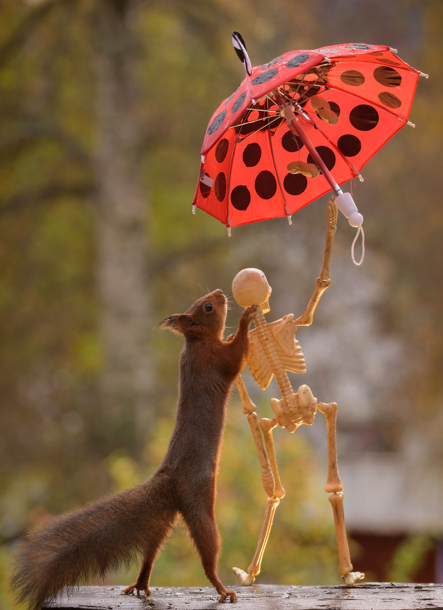 'Tình sóc duyên ma' - Bộ ảnh Halloween chất chơi của chú sóc nhỏ 'Tình sóc duyên ma' - Bộ ảnh Halloween chất chơi của chú sóc nhỏ