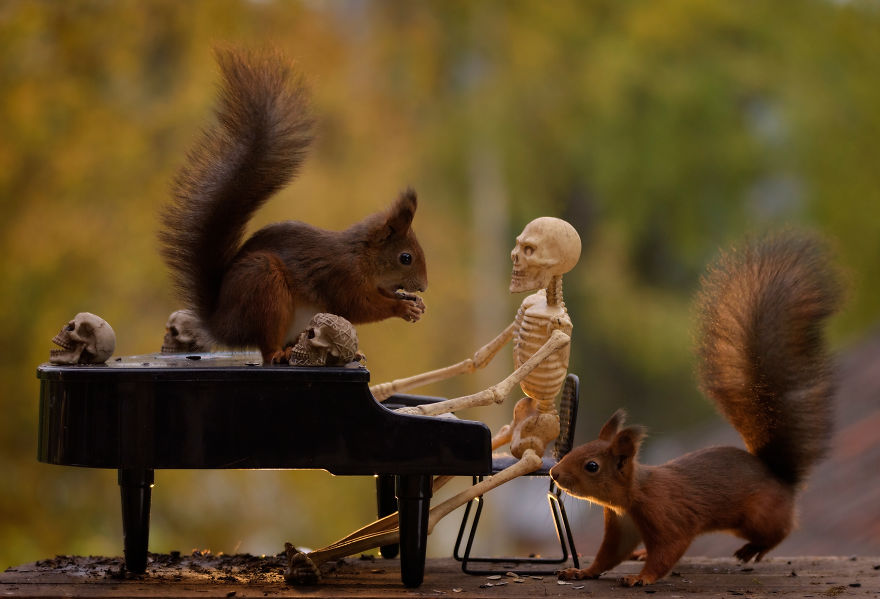 'Tình sóc duyên ma' - Bộ ảnh Halloween chất chơi của chú sóc nhỏ 'Tình sóc duyên ma' - Bộ ảnh Halloween chất chơi của chú sóc nhỏ